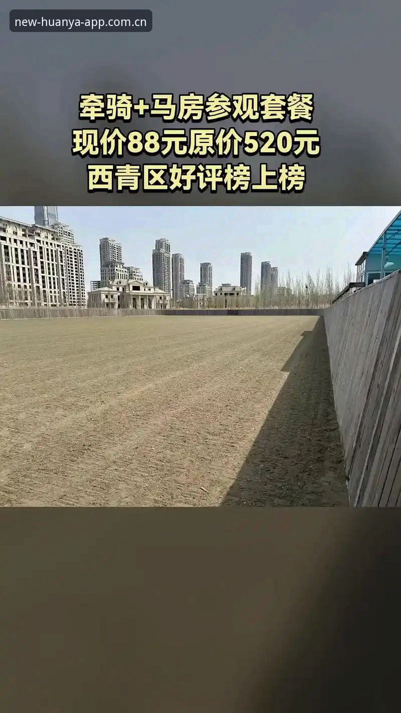 环亚体育平台2026新版深度评测：从下载到登录的全功能体验报告